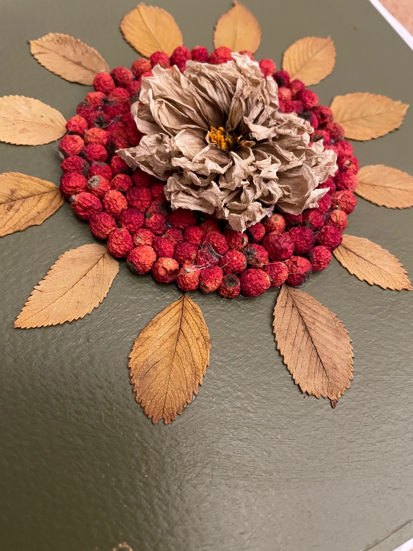 Boxed dahlia with red berries
