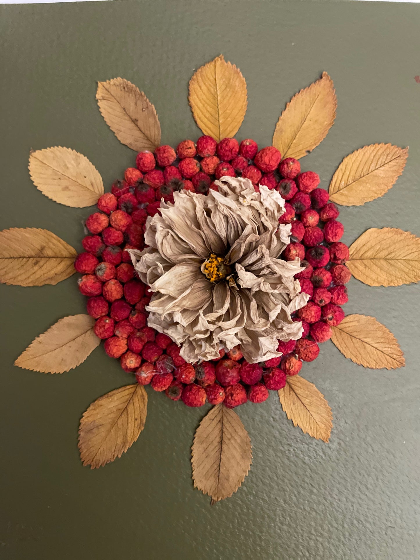 Boxed dahlia with red berries