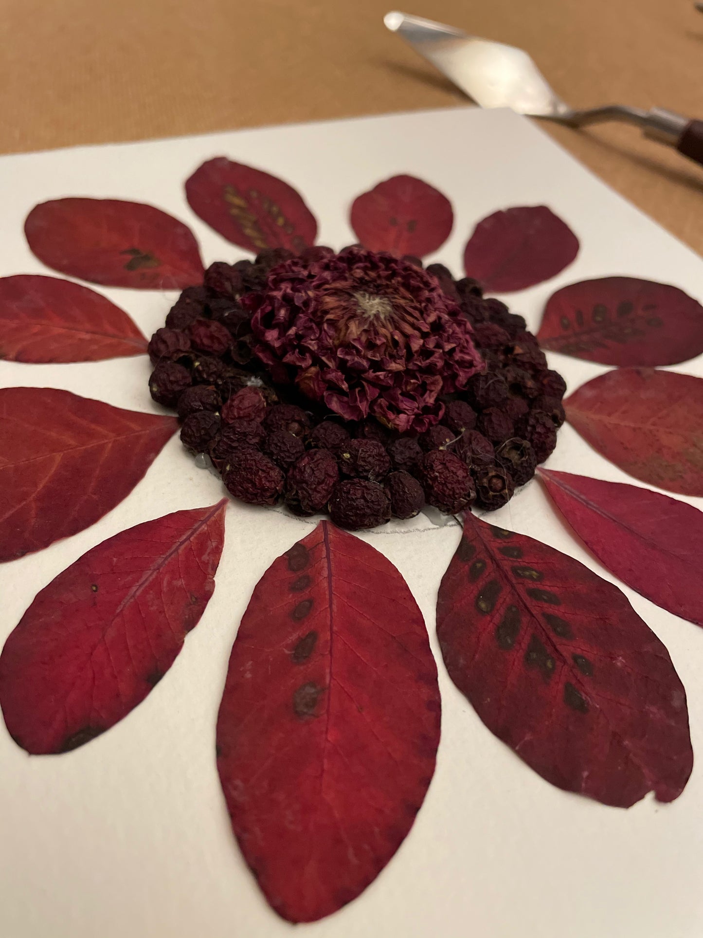 Boxed dahlia with berries