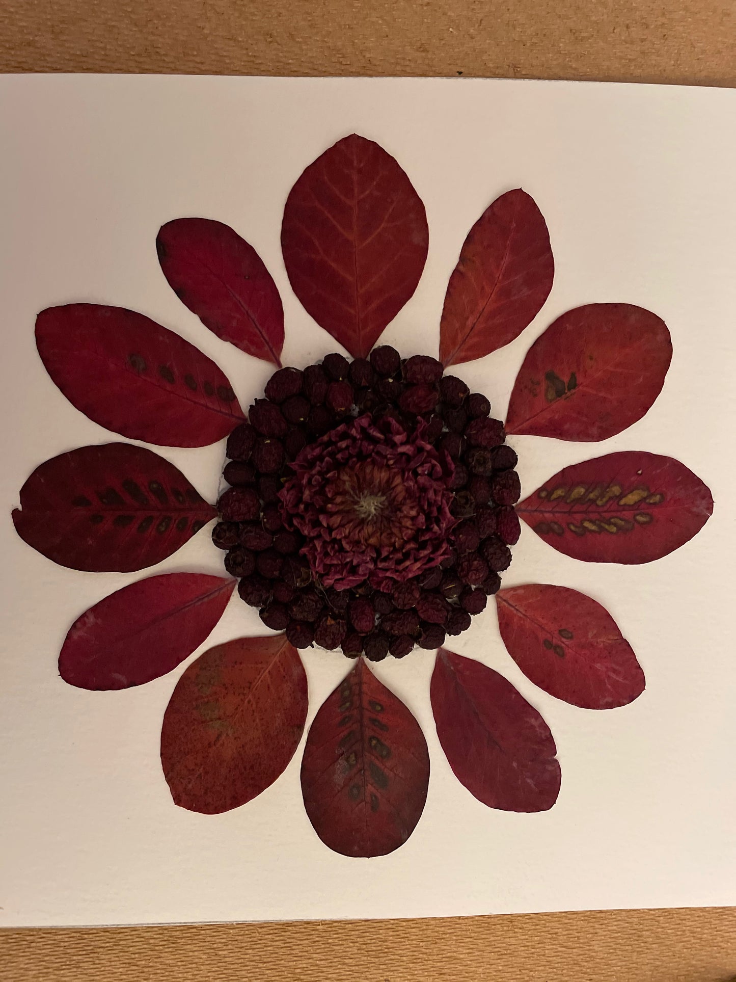 Boxed dahlia with berries
