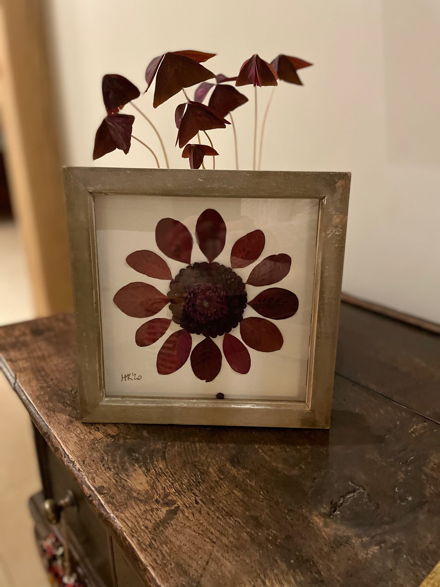 Boxed dahlia with berries