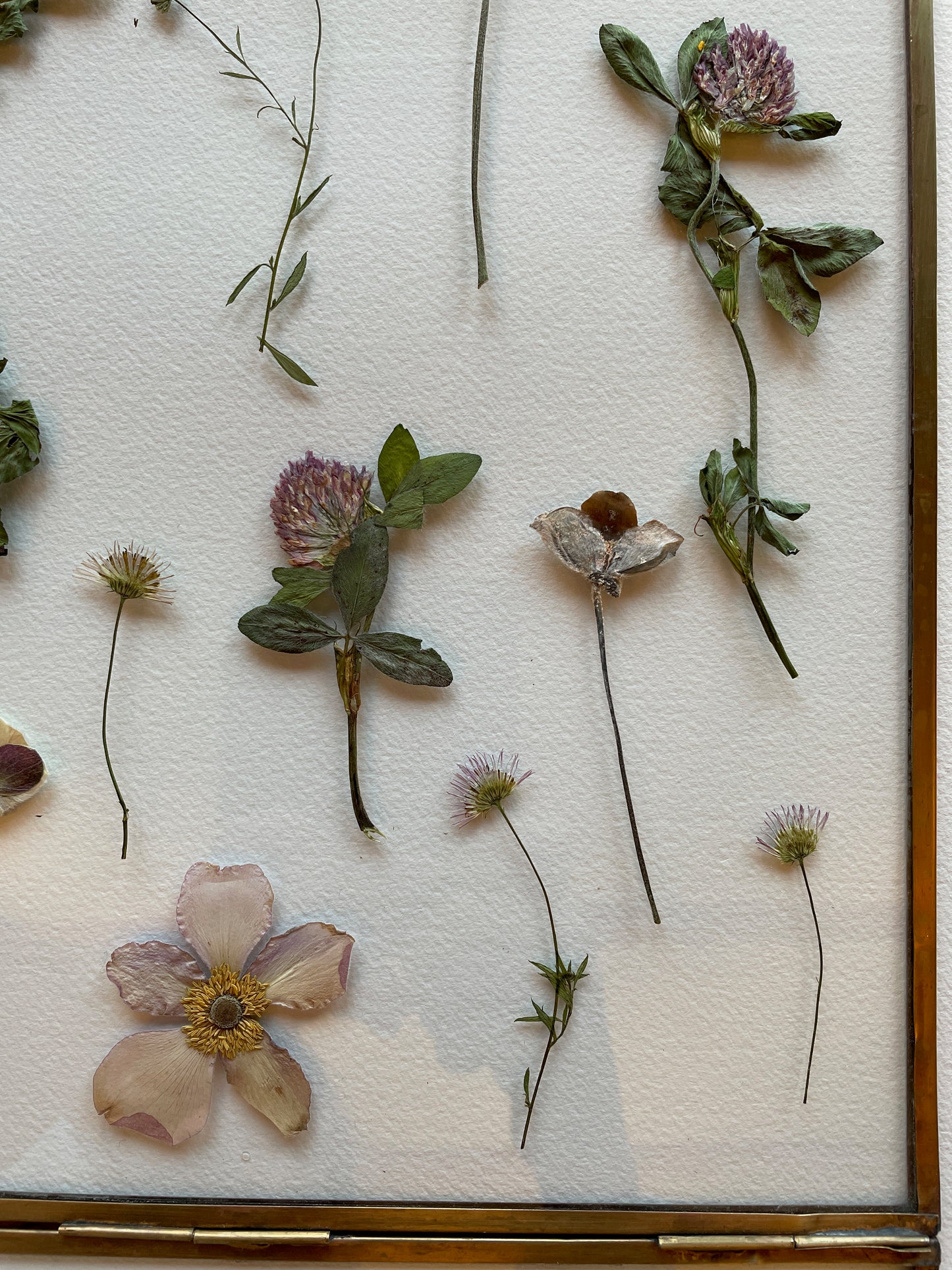 Brass glass frame with soft pink flowers
