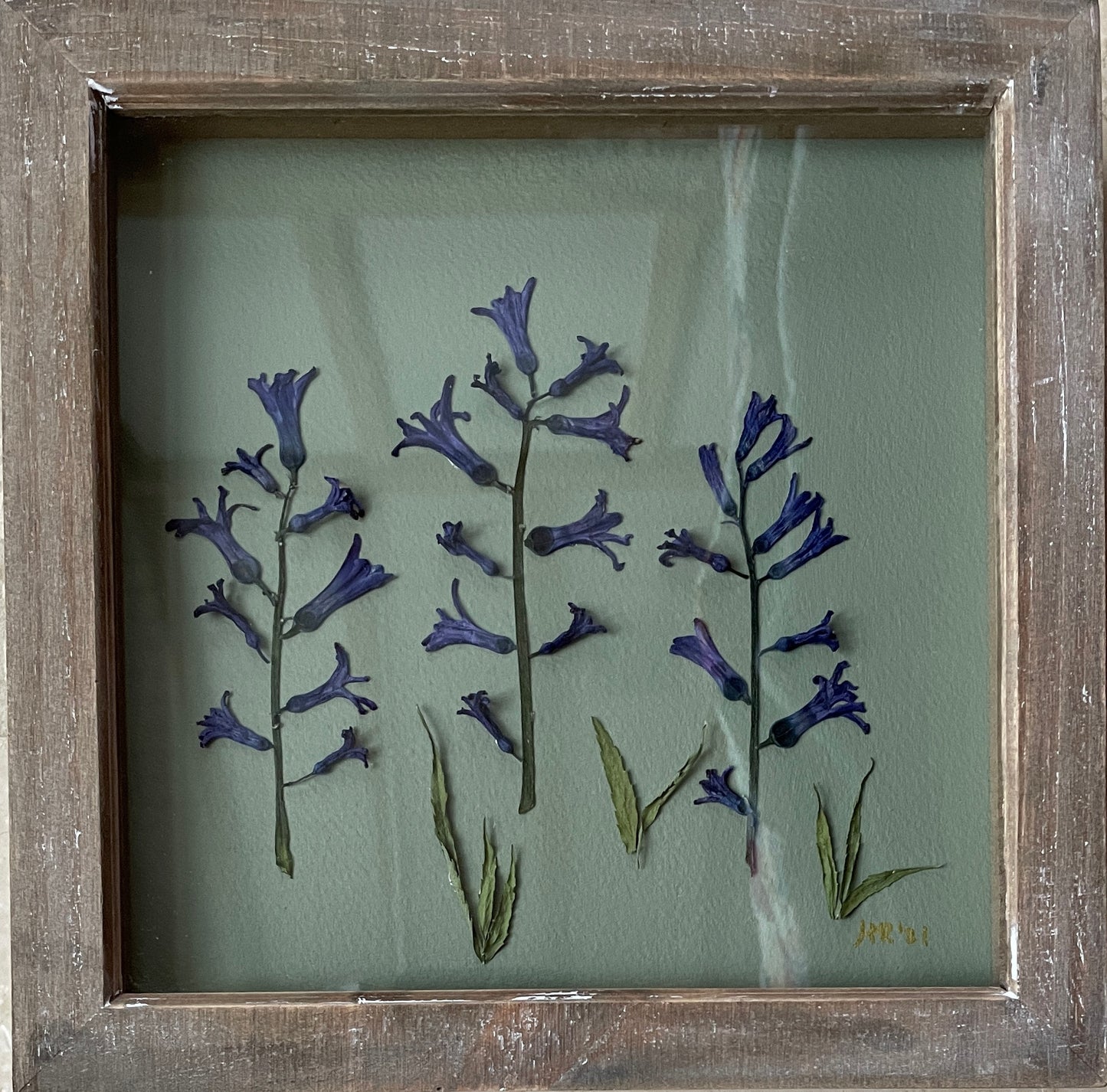 The Enchanted Bluebell