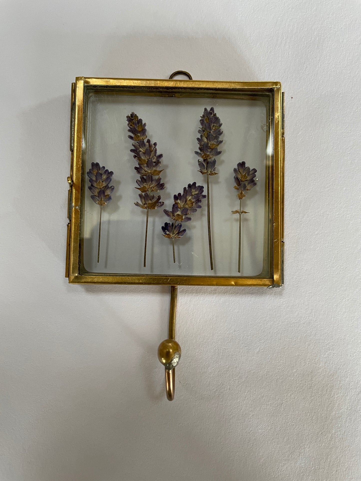 Hooked on lavender