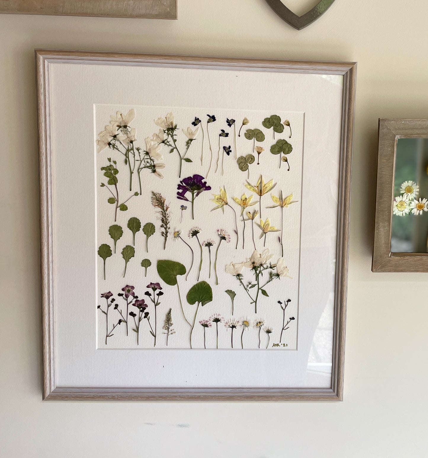 Spring Meadow