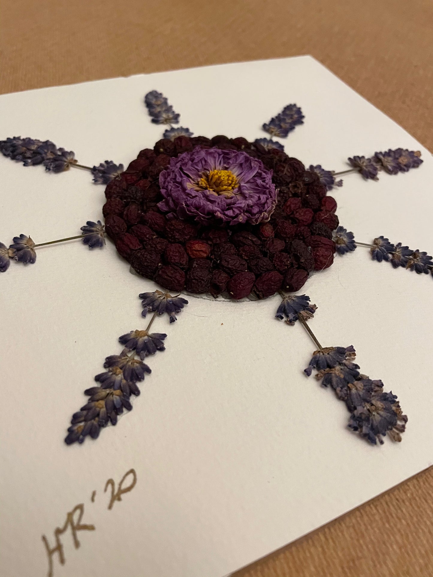 Boxed dahlia with lavender and winter berries