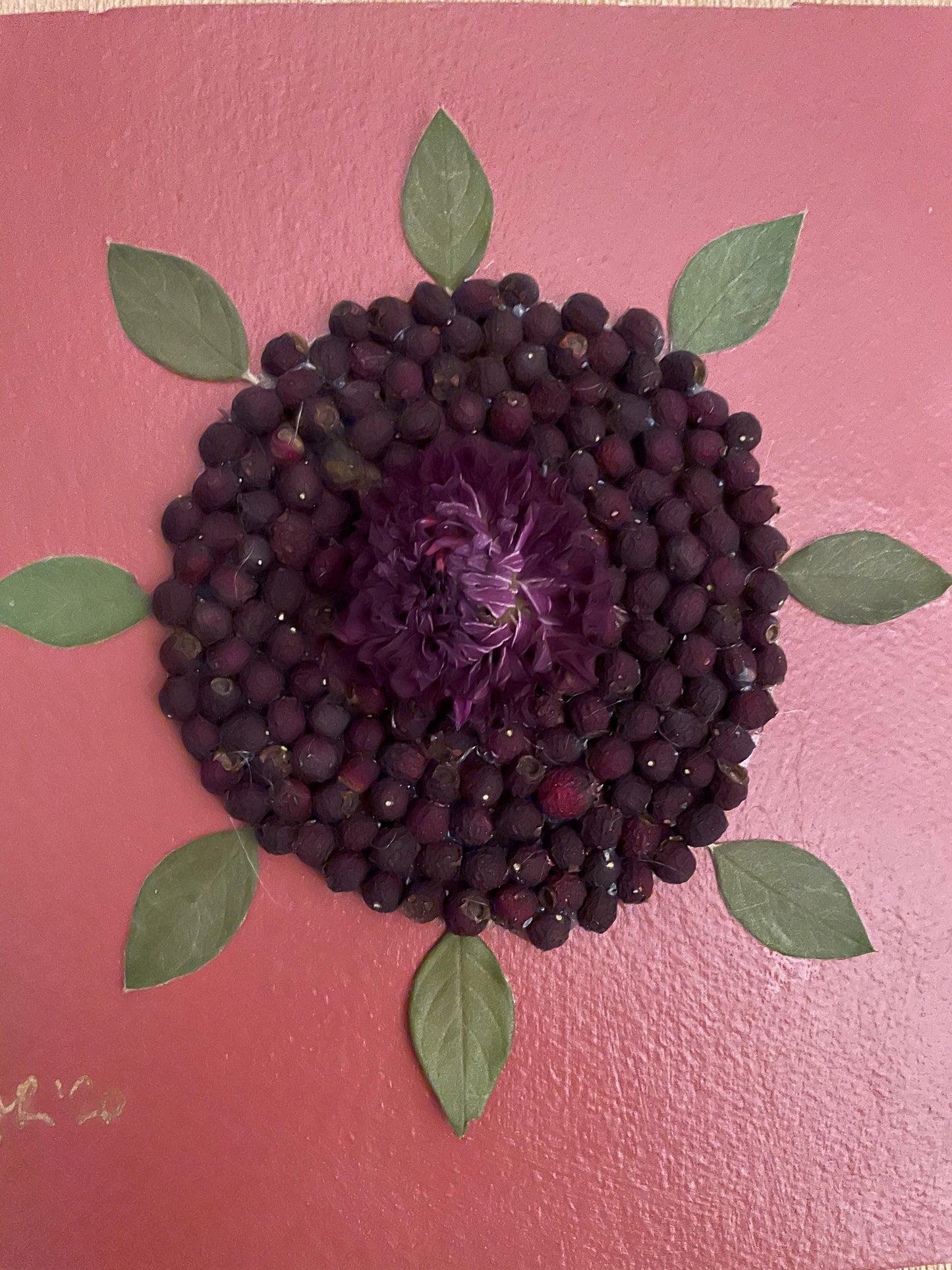 Boxed dahlia winter berries and leaves