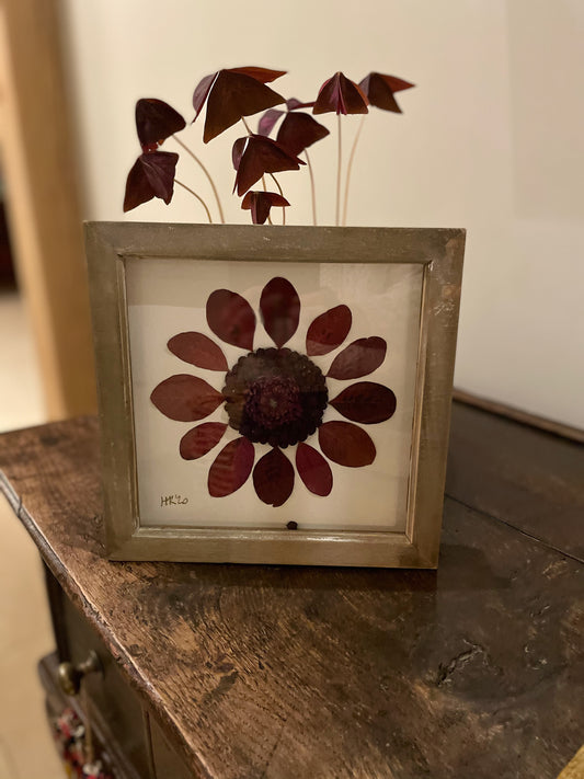 Boxed dahlia with berries