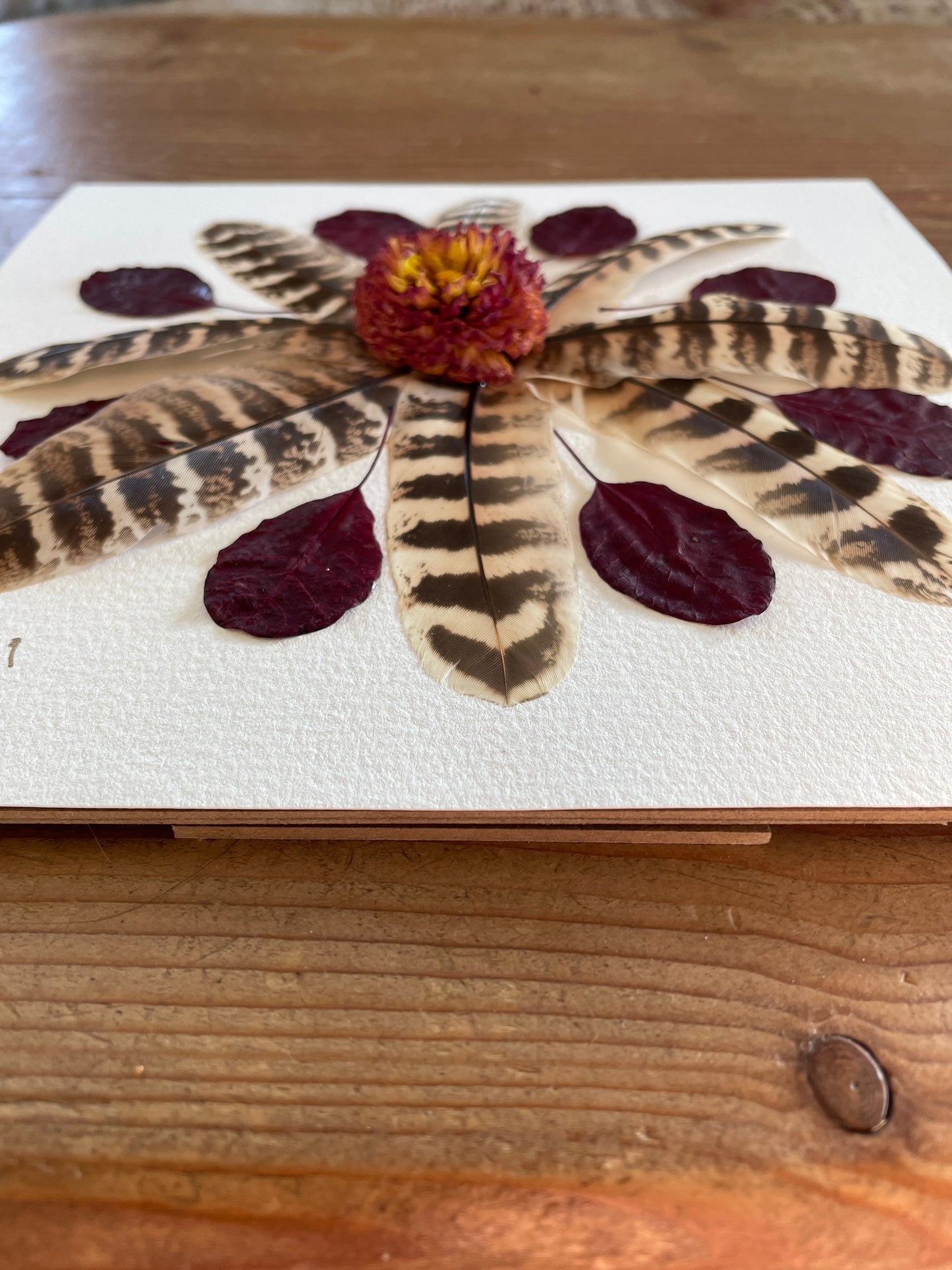 Box frame with pheasant feathers and red leaves