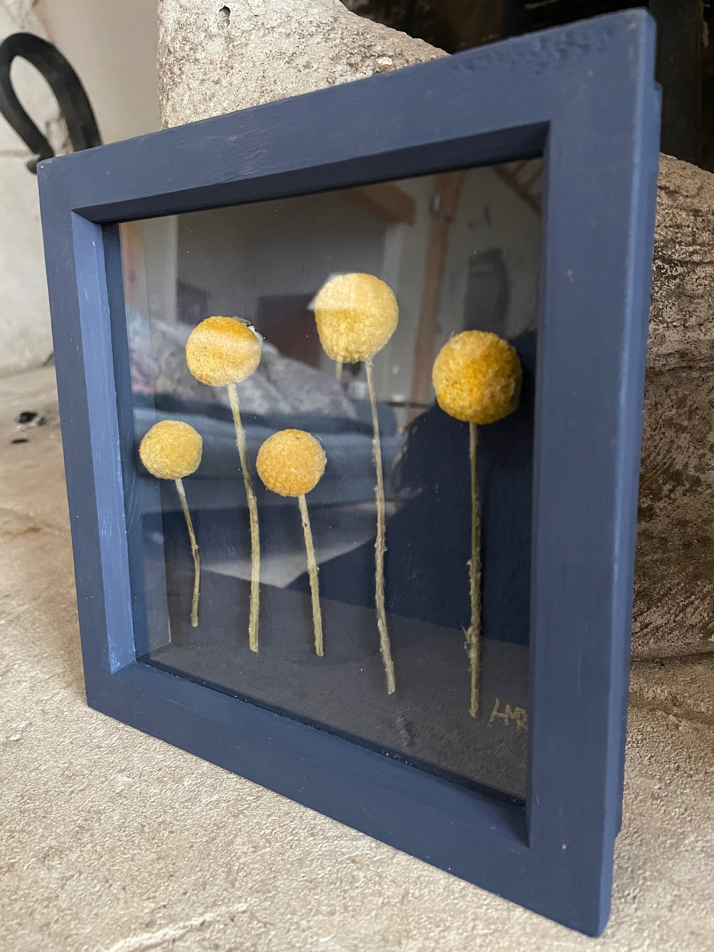 Billy Buttons