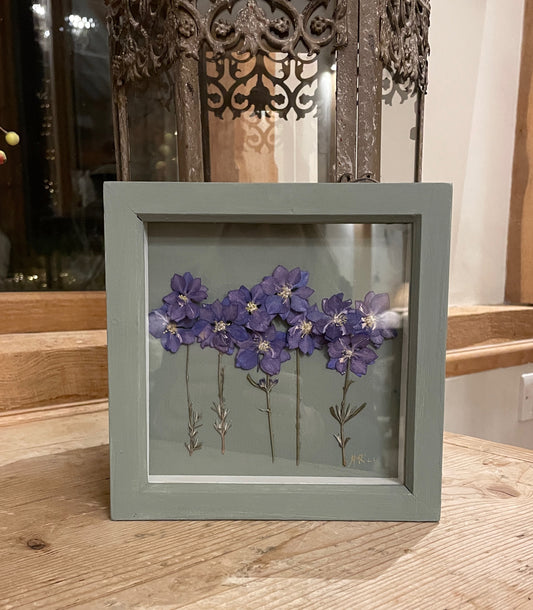 The Spiritual Larkspur
