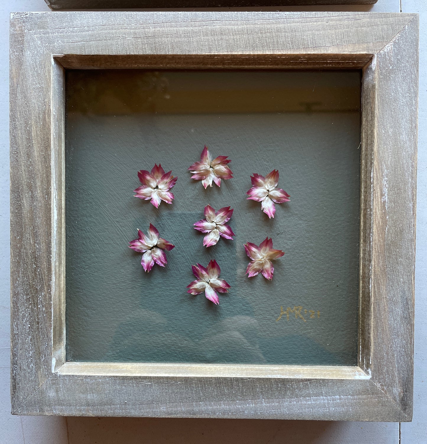 The Clover Petal