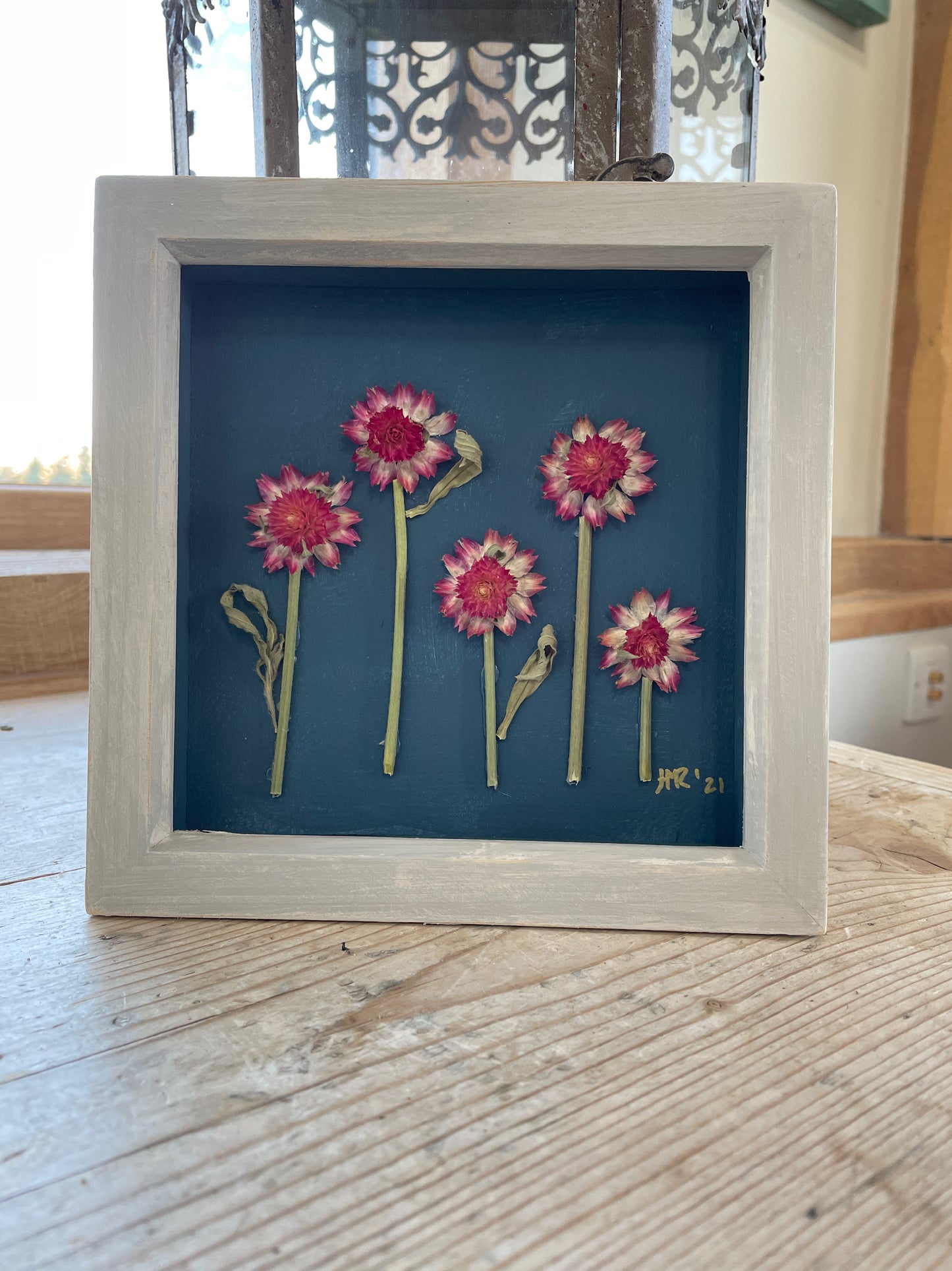 Wild Clover