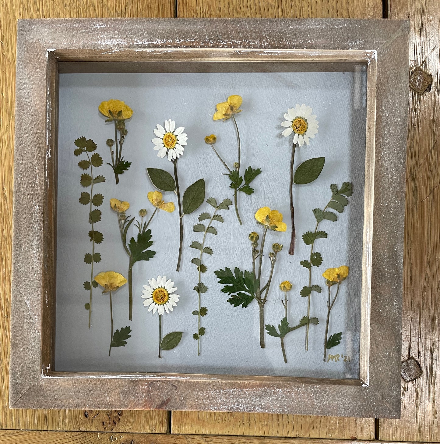 The Wild Buttercup