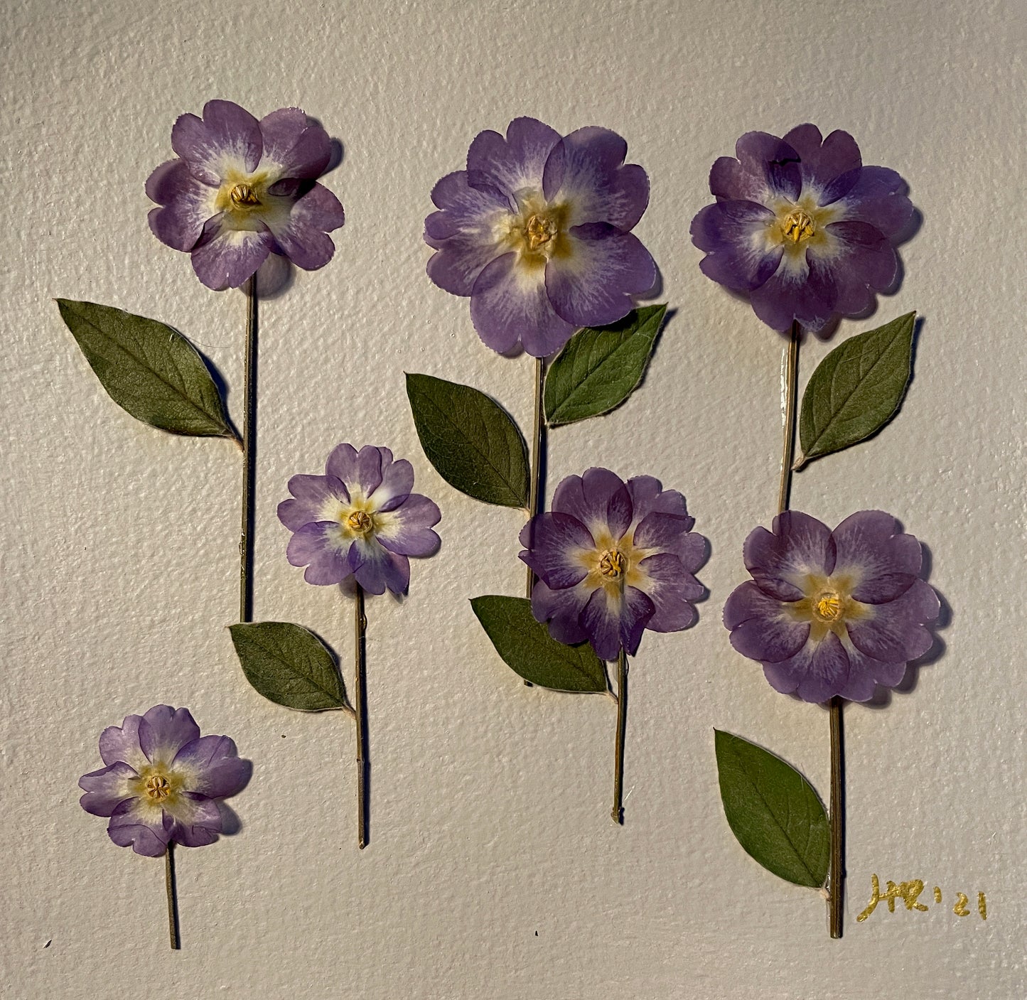 The festival flower