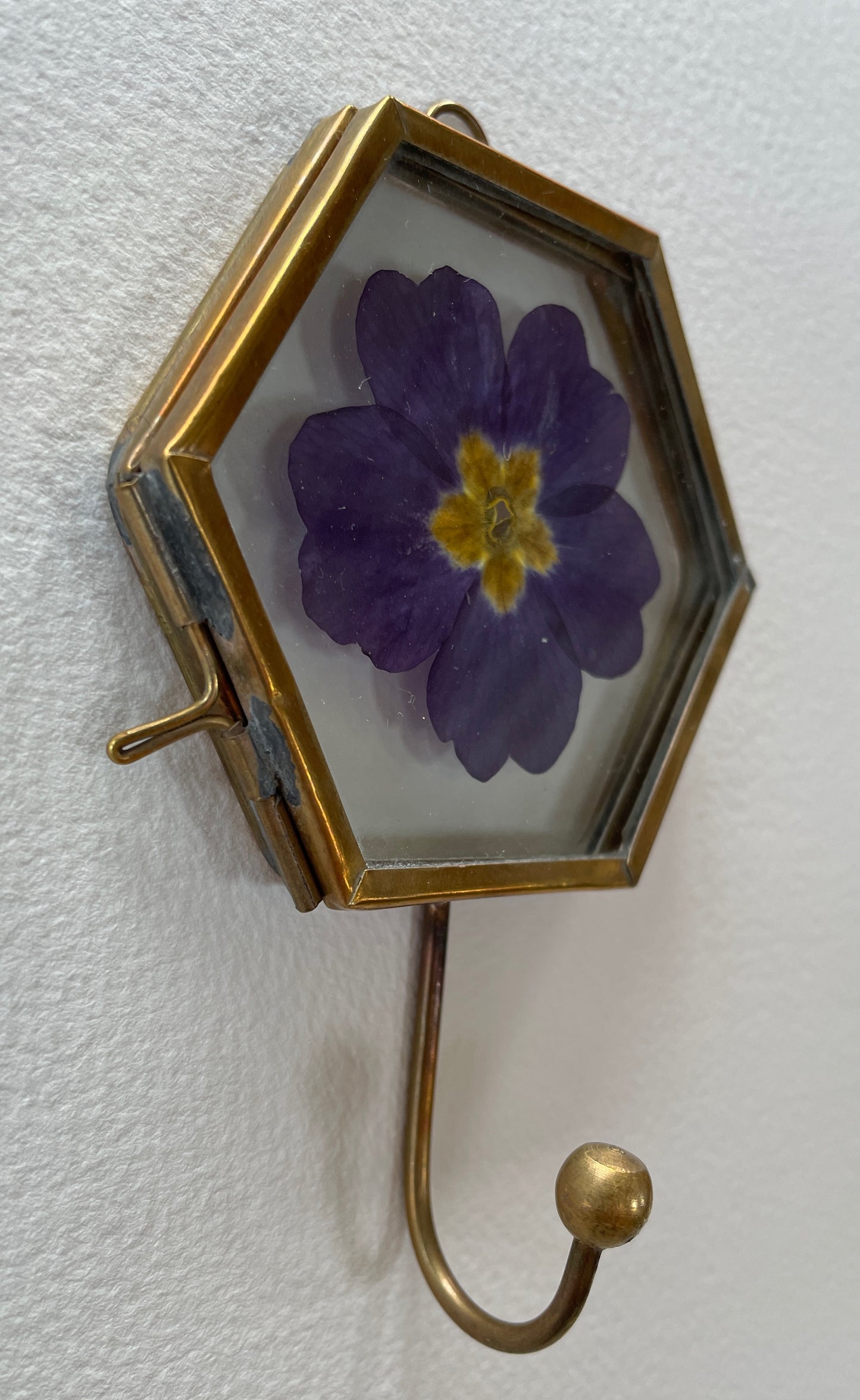 Primrose hook