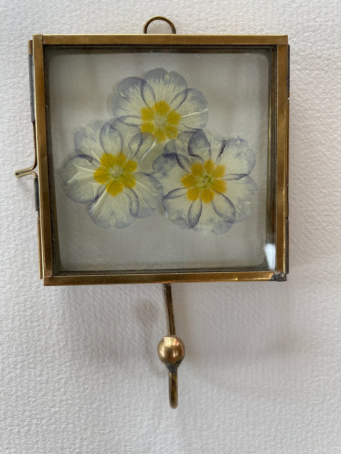 Hooked on primrose pots