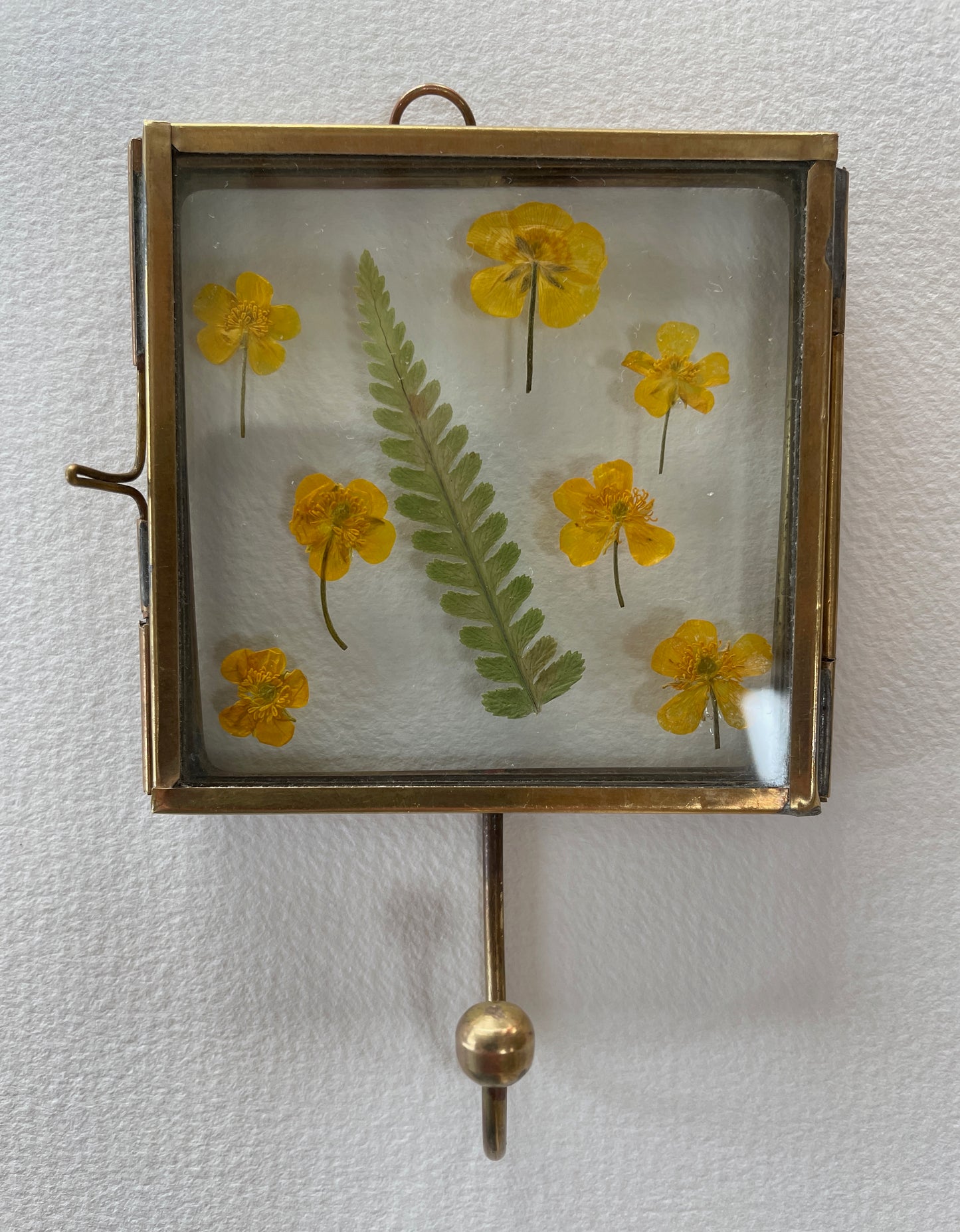 Hooked on buttercup fields