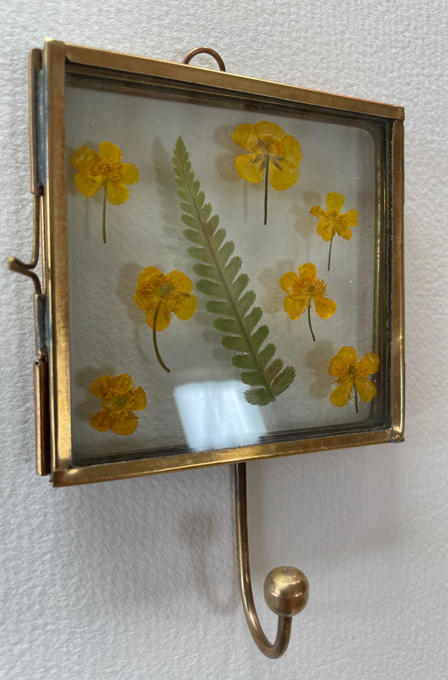 Hooked on buttercup fields