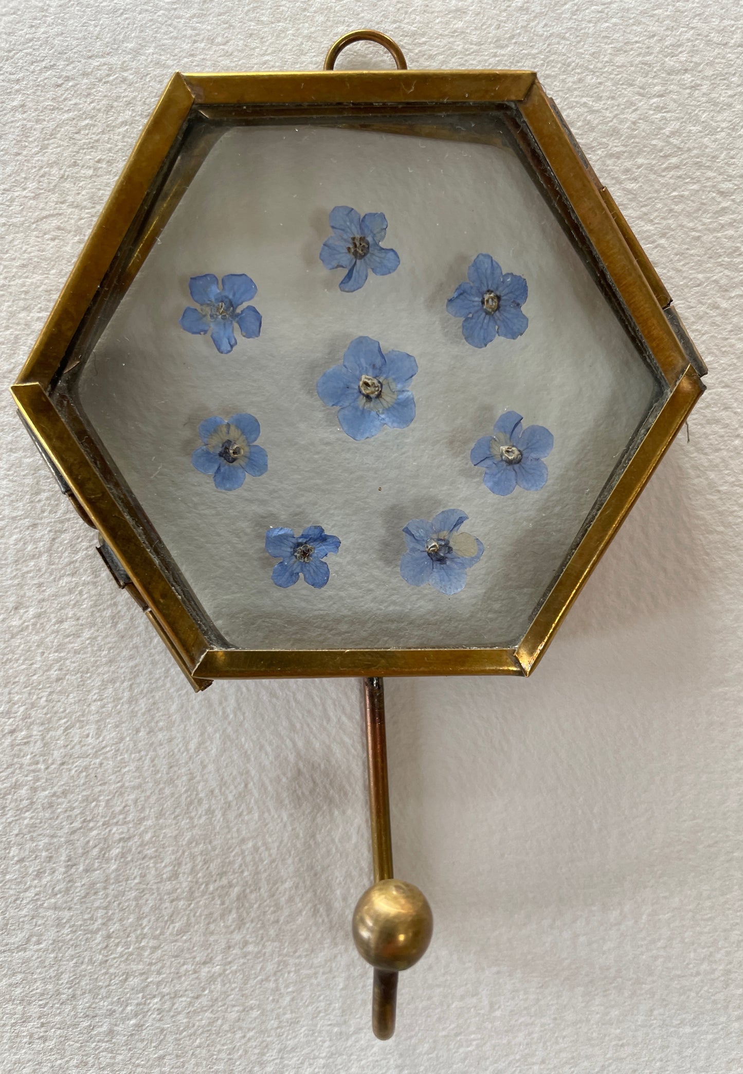 Hooked on forget me nots