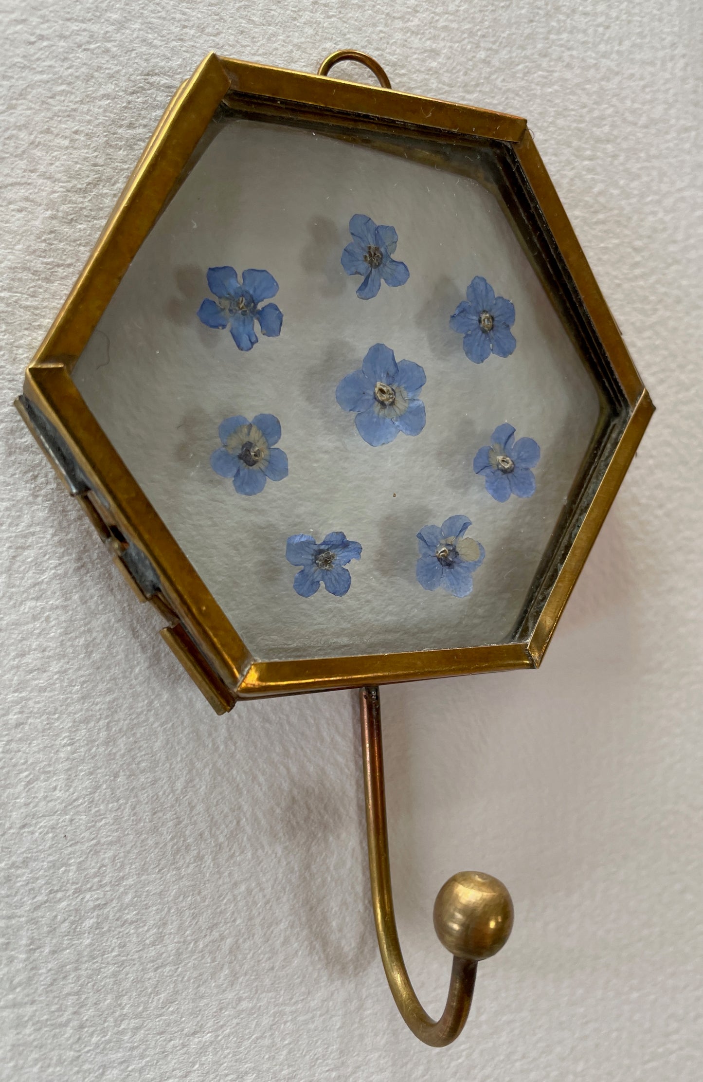 Hooked on forget me nots
