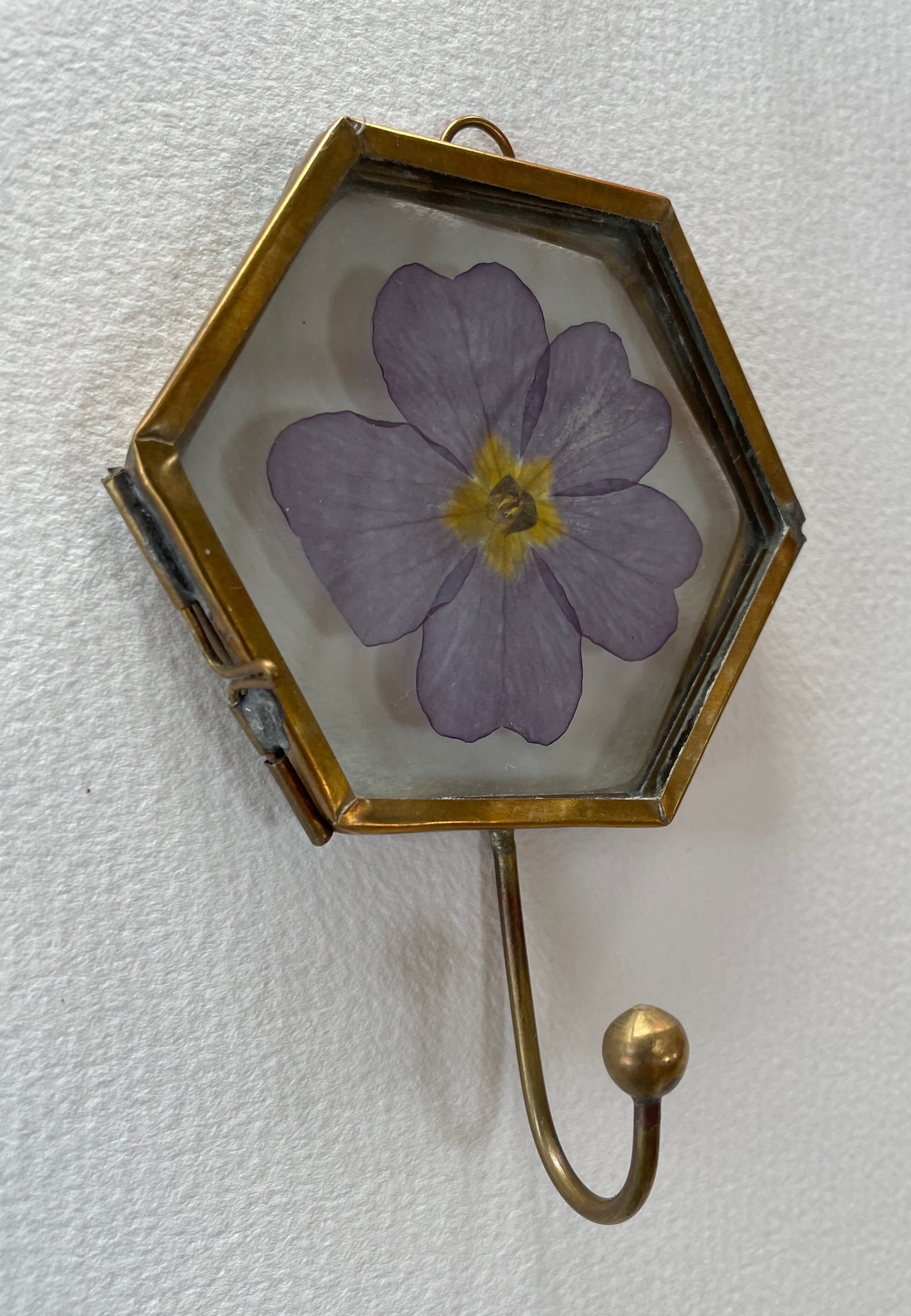 Hooked on Primroses