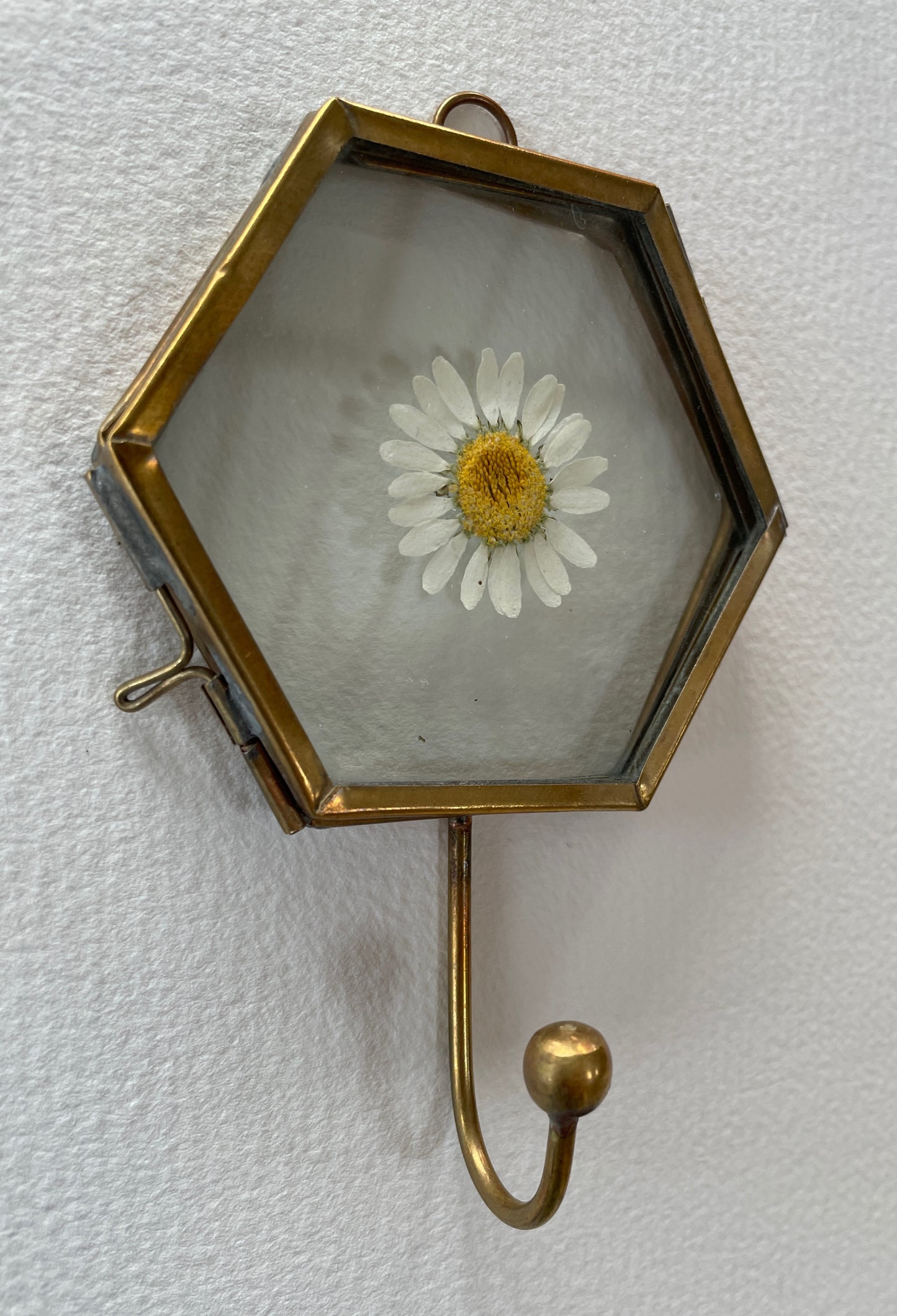 Hooked on Daisies