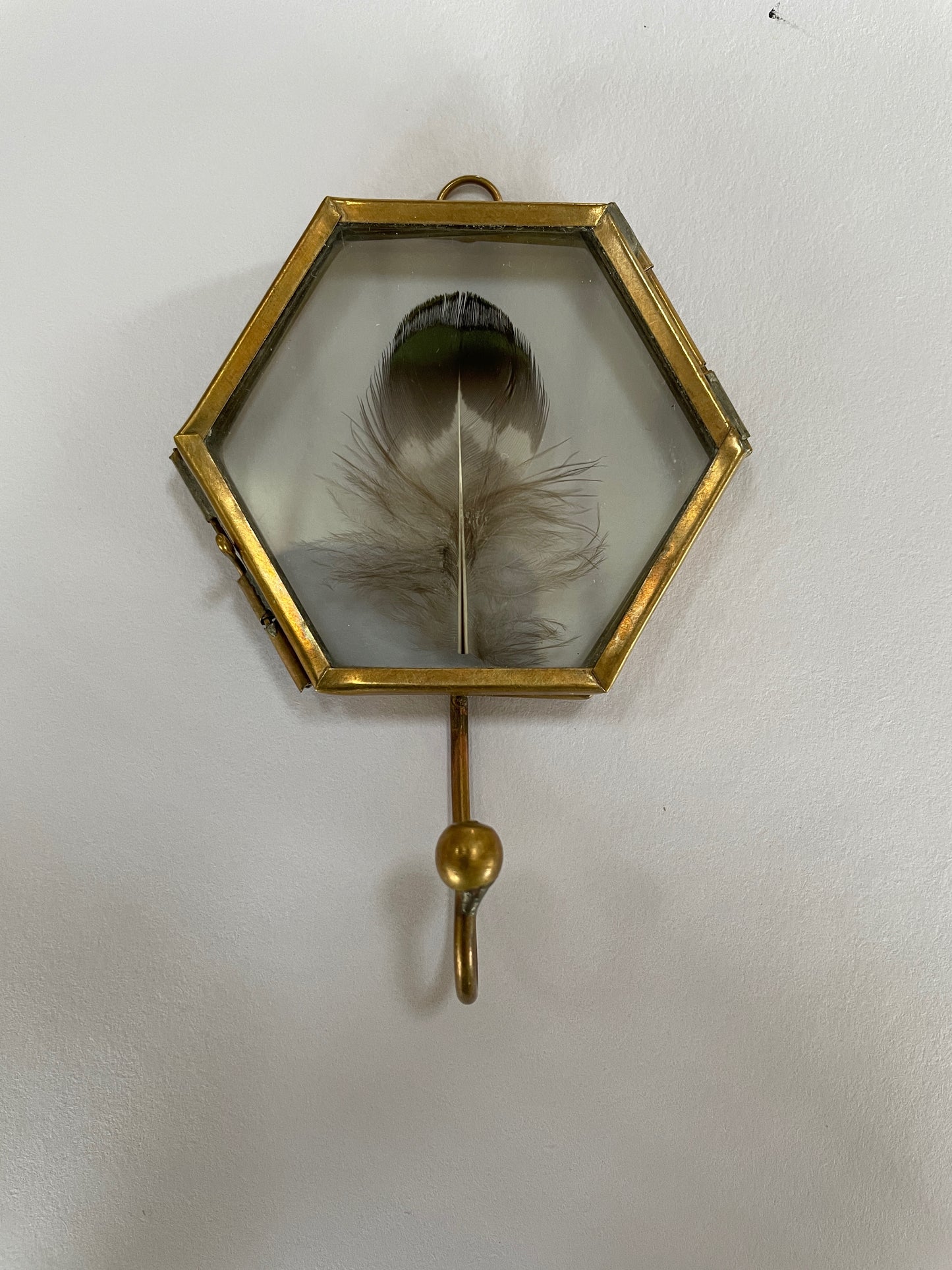 Hooked on feathers